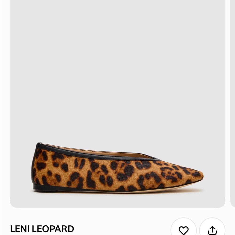 Steve Madden Leni Leopard Pointed Toe Flat in Tan and Black